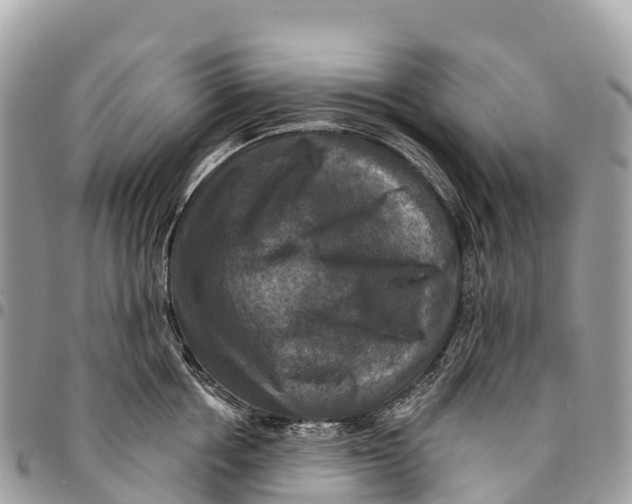 X0000094420858200711291548