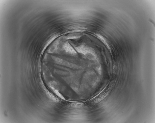 X0000094420859200711291548