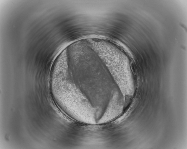 X0000094420860200711291548