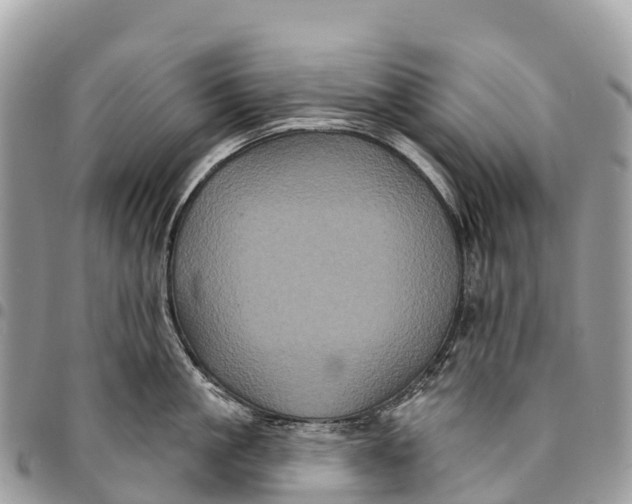 X0000094420861200711291548