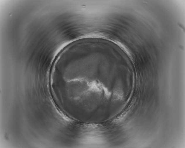 X0000094420862200711291548