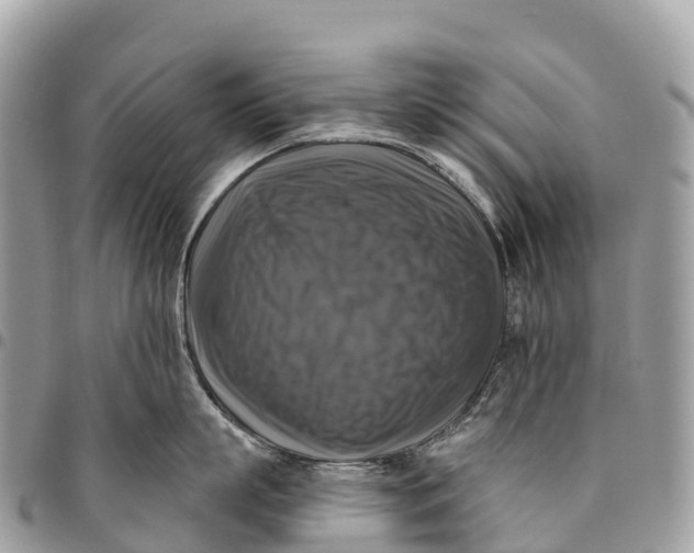 X0000094420863200711291548