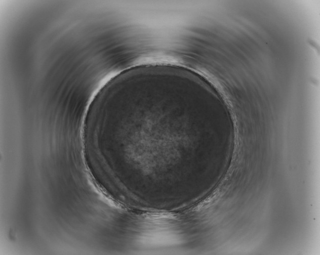 X0000094420864200711291548