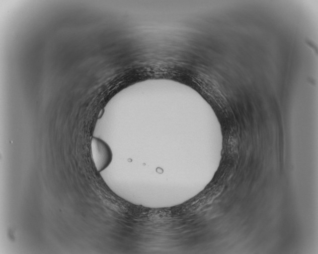 X0000094420865200711291547