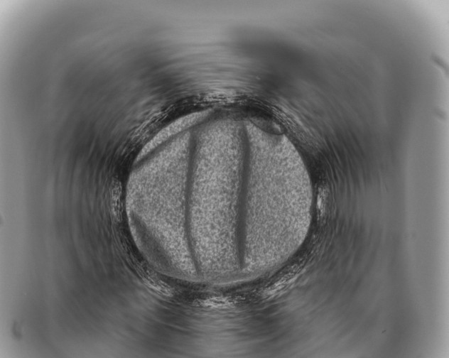 X0000094420867200711291547