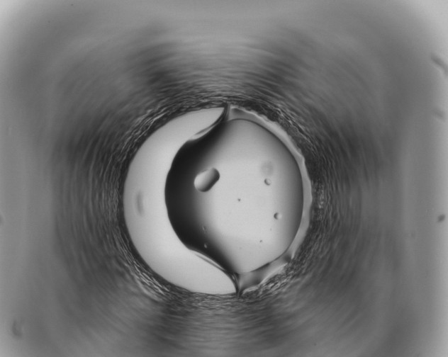 X0000094420868200711291547