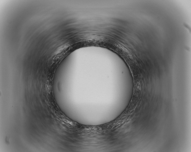 X0000094420869200711291547