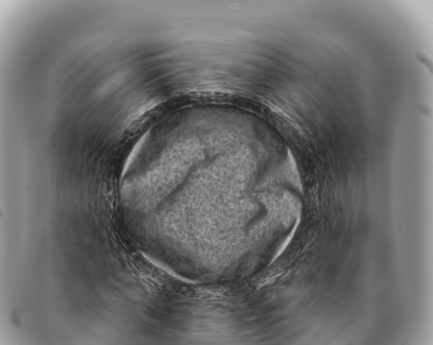 X0000094420870200711291547