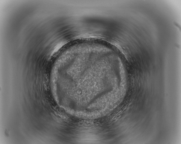 X0000094420871200711291547