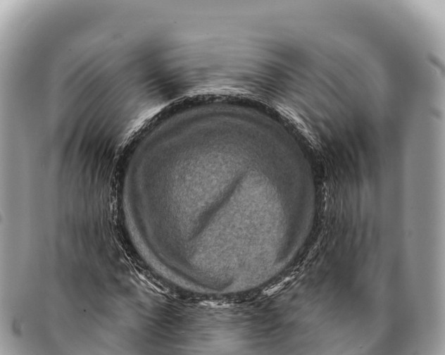 X0000094420872200711291547