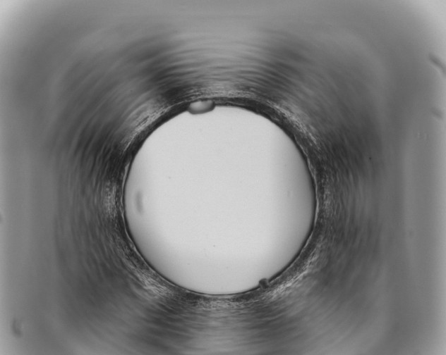 X0000094420873200711291547