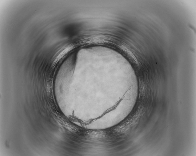 X0000094420874200711291547