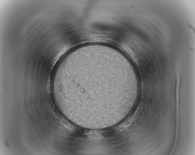 X0000094420875200711291547