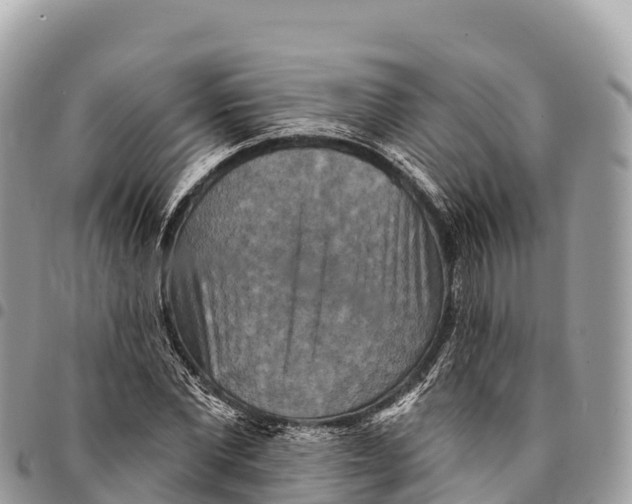 X0000094420877200711291547