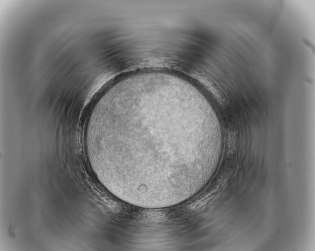 X0000094420878200711291547