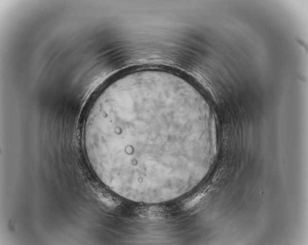 X0000094420879200711291547