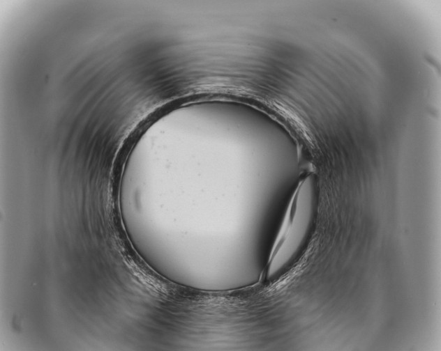 X0000094420880200711291547