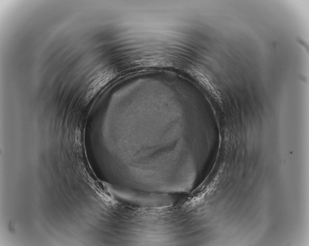 X0000094420881200711291547