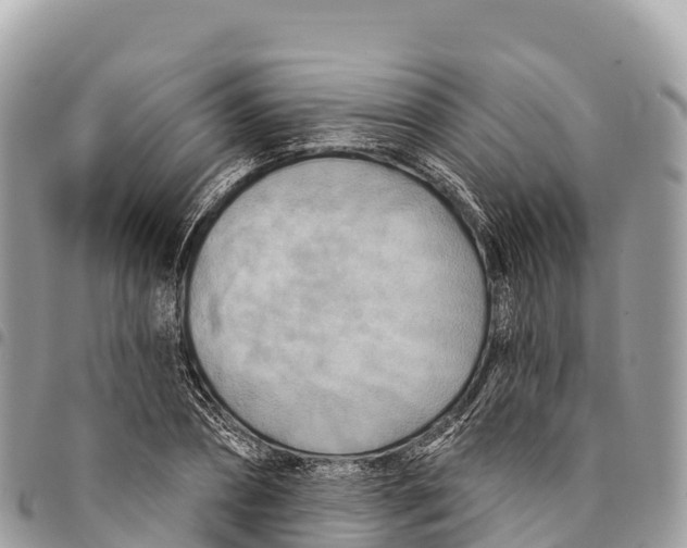 X0000094420882200711291547