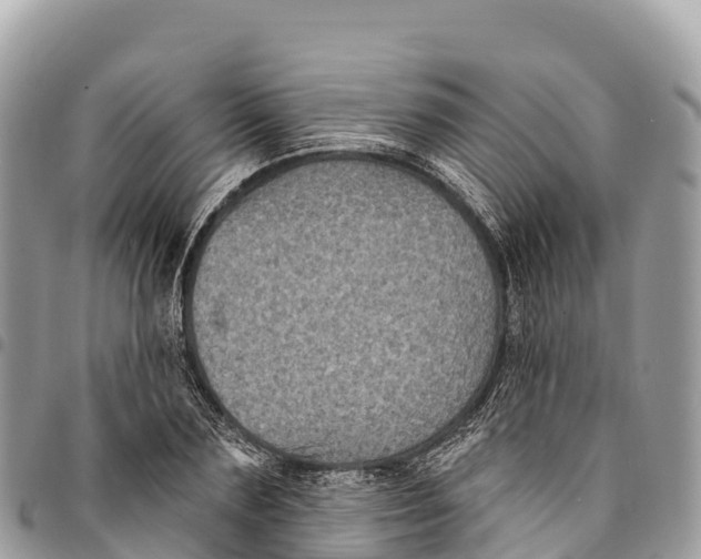 X0000094420883200711291547