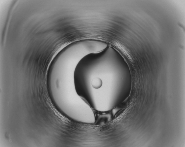 X0000094420884200711291547