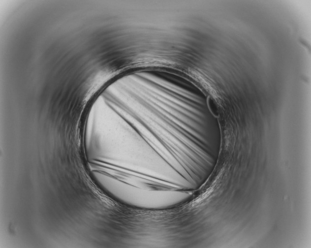 X0000094420885200711291547