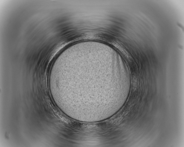 X0000094420886200711291547