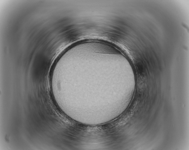 X0000094420887200711291547