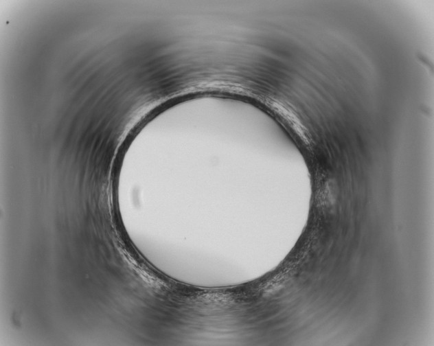 X0000094420888200711291547