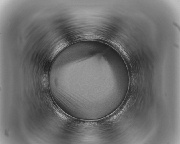 X0000094420889200711291547