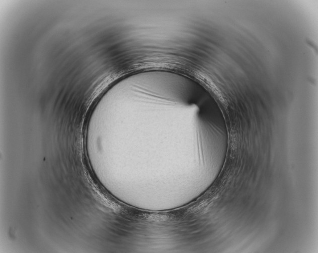 X0000094420890200711291547