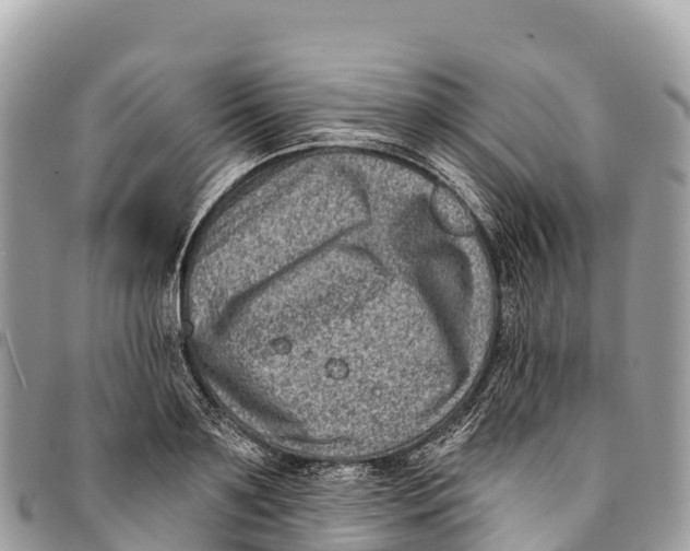 X0000094420891200711291547