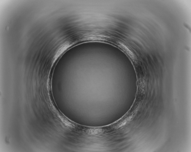 X0000094420893200711291547