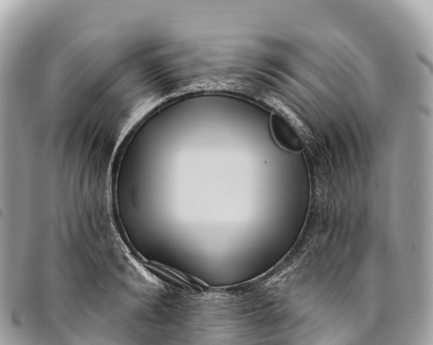 X0000094420894200711291547