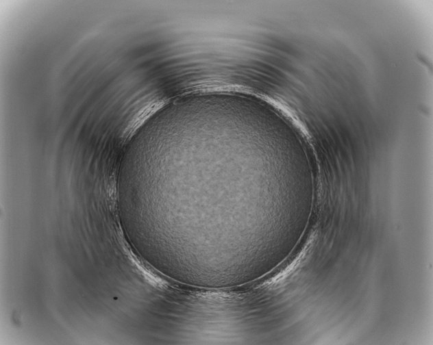 X0000094420897200711291547