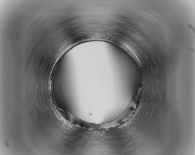 X0000094420900200711291547