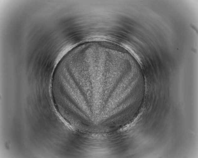 X0000094420901200711291547