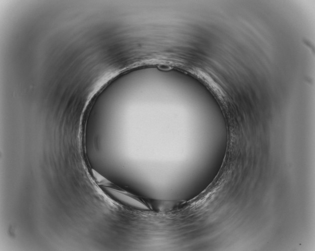 X0000094420902200711291547