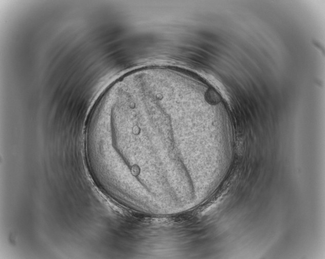 X0000094420903200711291547