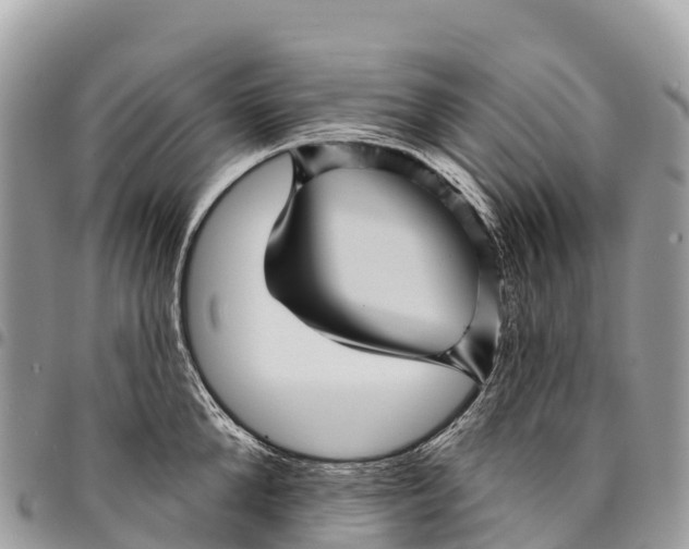 X0000094420904200711291547