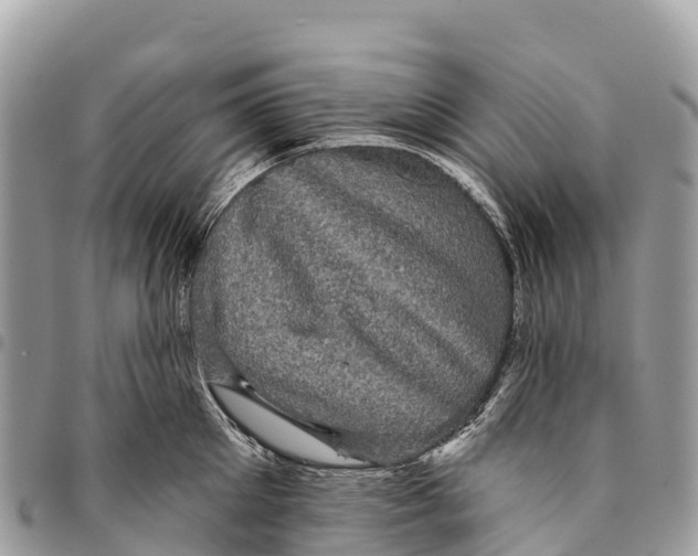 X0000094420905200711291547