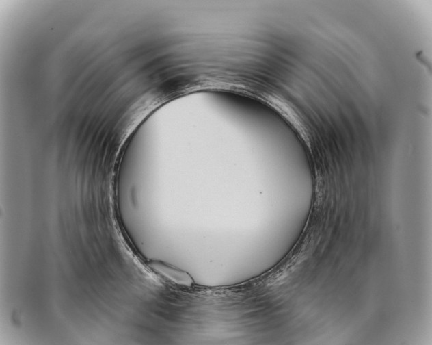 X0000094420906200711291547