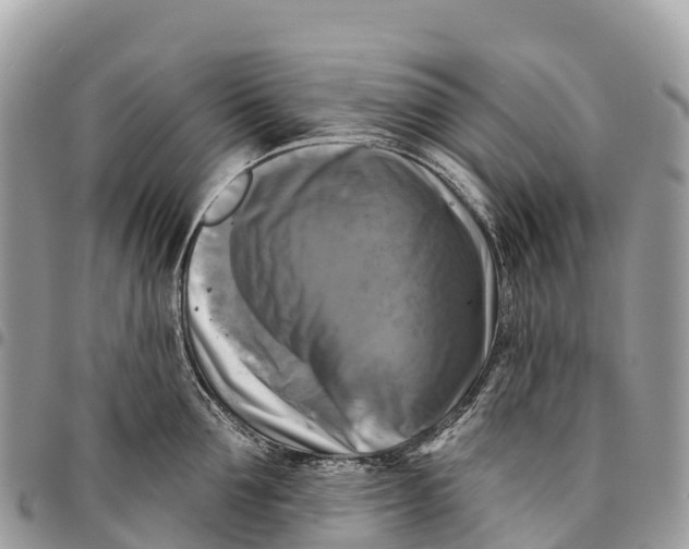 X0000094420907200711291547