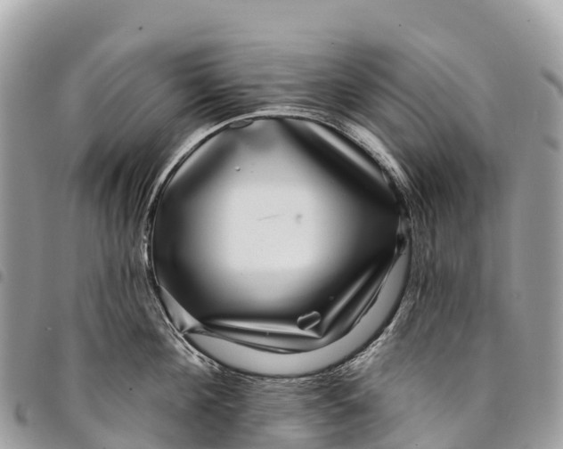 X0000094420908200711291547