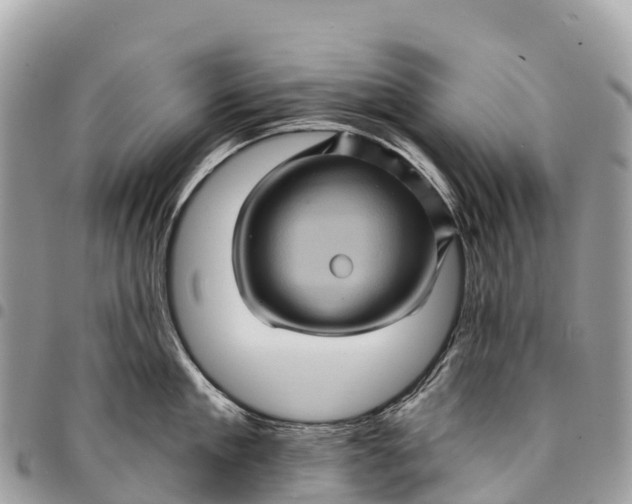 X0000094420909200711291546