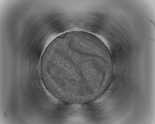 X0000094420911200711291546