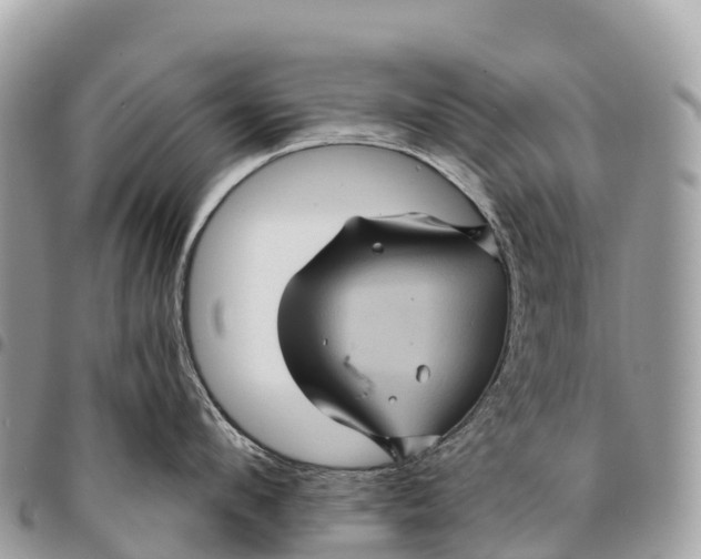 X0000094420912200711291546