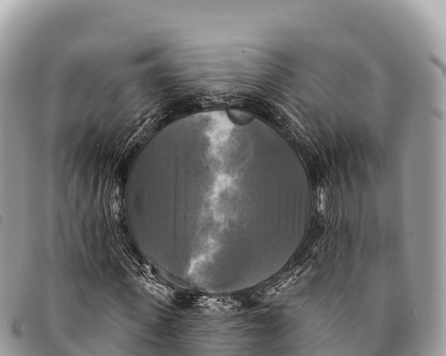 X0000094420915200711291546