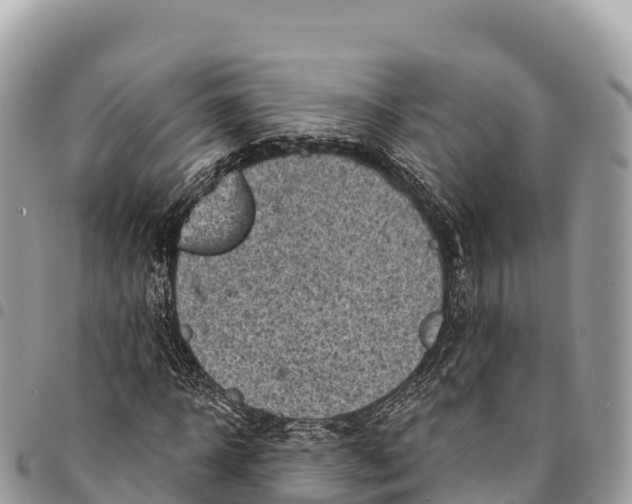 X0000094420918200711291546