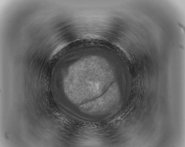 X0000094420919200711291546